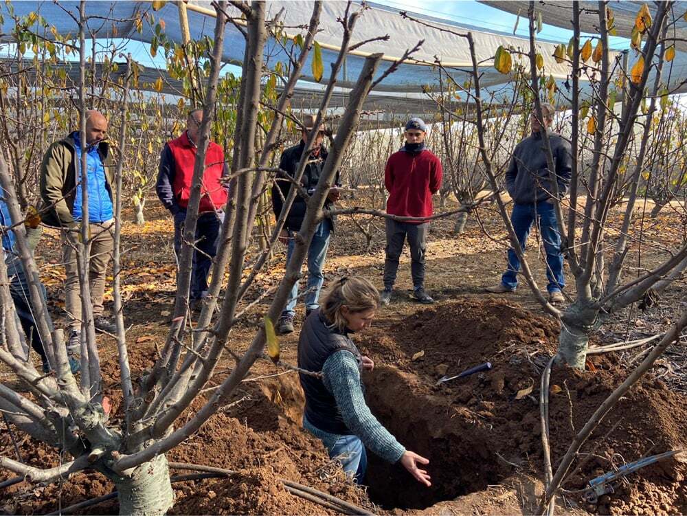 diagonostico-agricola